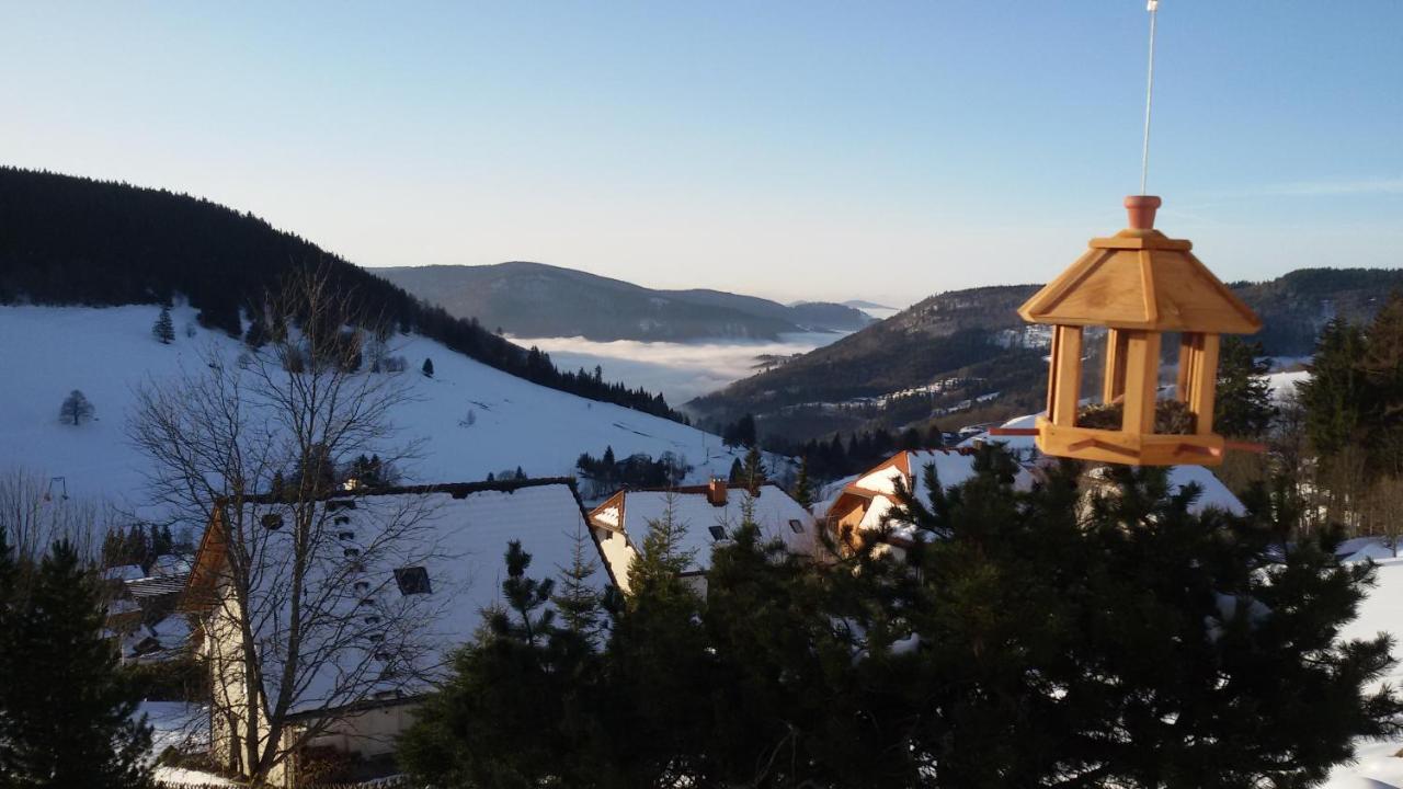 Schoene Aussicht Todtnau Exterior foto