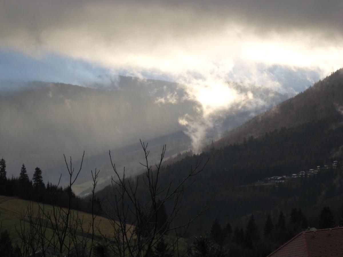 Schoene Aussicht Todtnau Exterior foto