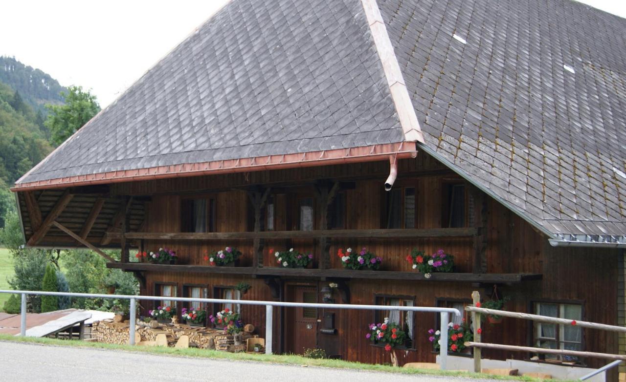 Schoene Aussicht Todtnau Exterior foto