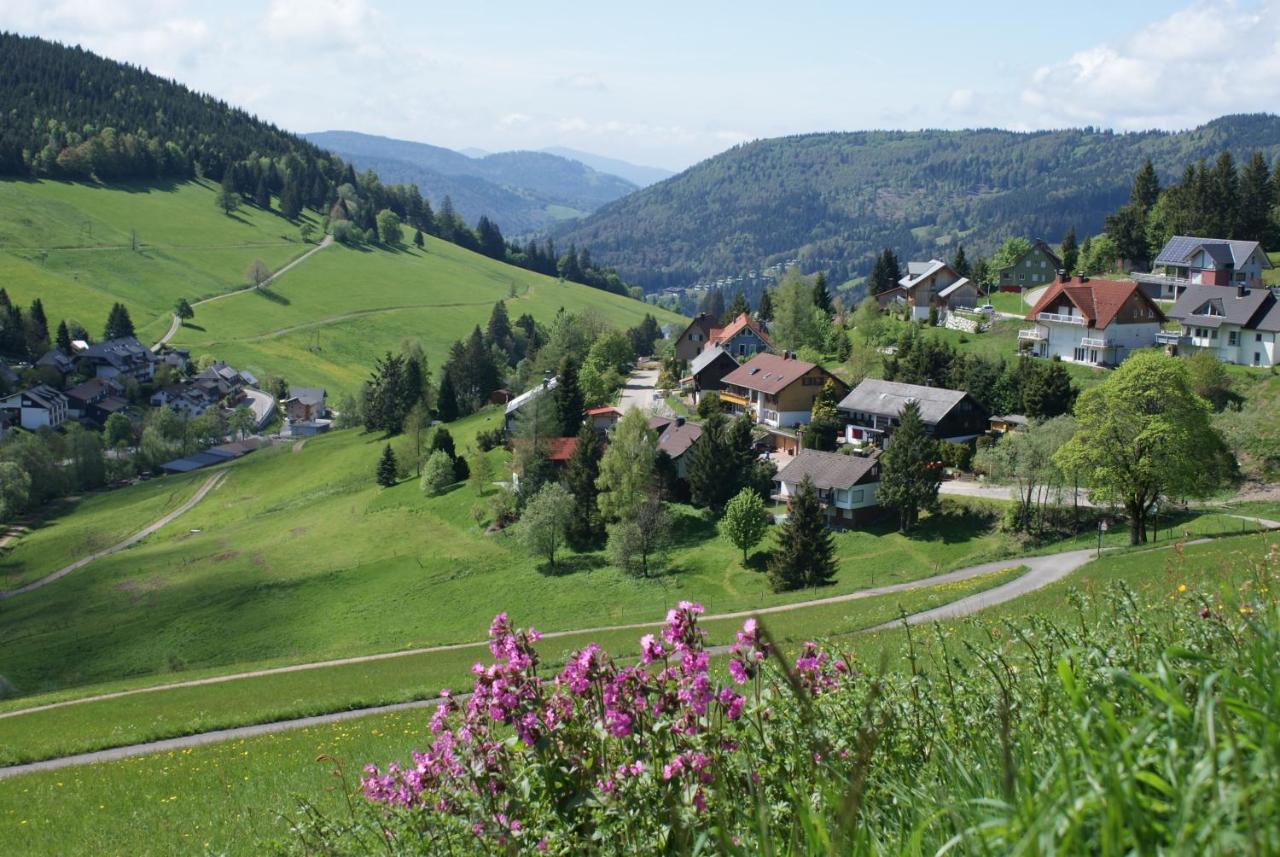 Schoene Aussicht Todtnau Exterior foto