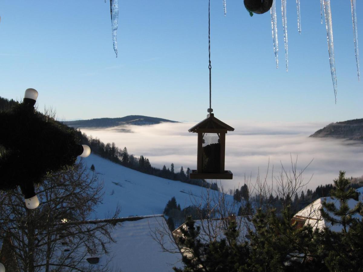 Schoene Aussicht Todtnau Exterior foto