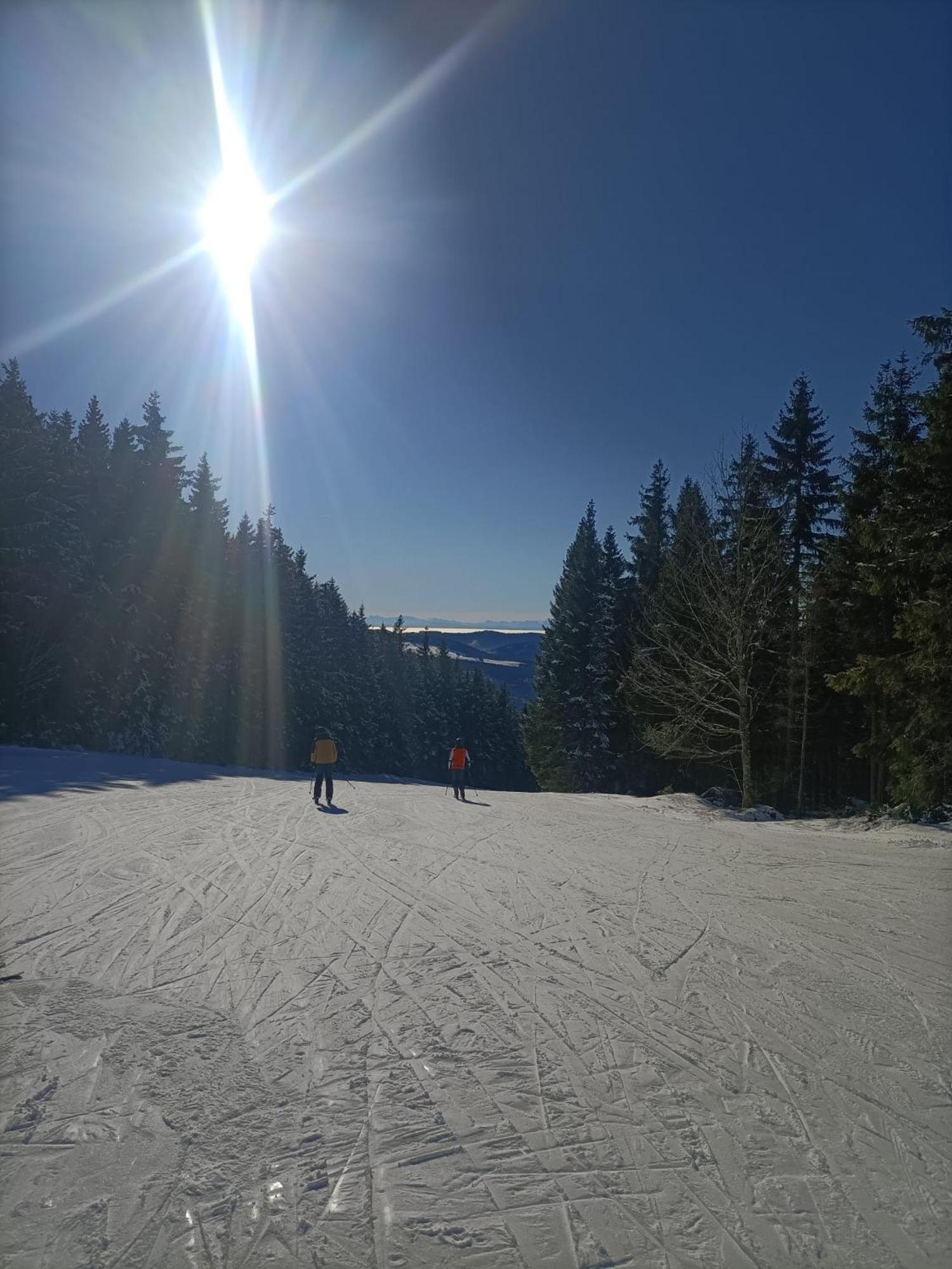 Schoene Aussicht Todtnau Exterior foto